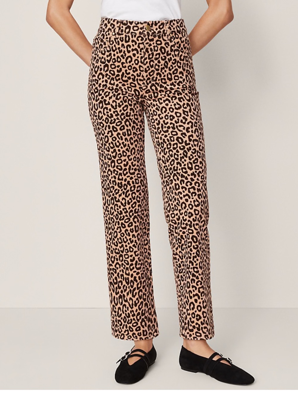 Ann Taylor High Rise Corduroy Leopard Print Pants